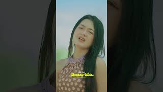 Download Lagu Tumbale Welas - Laily Suci #lailysuci #shorts MP3