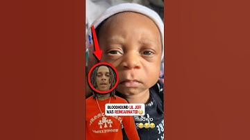 Bloodhound Lil Jeff Was Reincarnated😳 #bloodhoundliljeff ￼