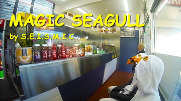 Magic Seagull - S.E.I.S.M.I.C (Official Music Video)
