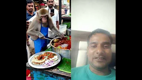 unique dish😱 chicken curry with roti 🫓 smart chef monkey 🐒 #shorts #food #monkey 😛 #trending video