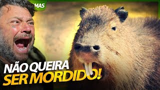 CAPIVARAS MORDEM PIOR QUE CACHORRO! | RICHARD RASMUSSEN