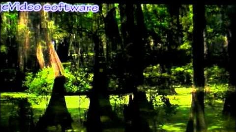 [at MAX 2010] Sneak Peeks - Stage Video 2/2