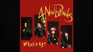 4 Non Blondes - What's Up? (Radio Edit)