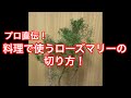 料理で使える!ローズマリーのカットのやり方!間違えるととんでもないことになります、、、