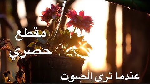 تلاوة هادئة تريح القلب القارئ عبدالرحمن مسعد سورة السجدة🤲🏻❤️💓