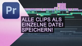 Premiere Pro - Alle Clips als Dateien rendern und speichern (3K)