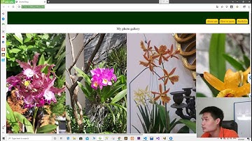Giải đề PE HTML CSS JAVASCRIPT Kì 2 - Đề đá lại khá hay