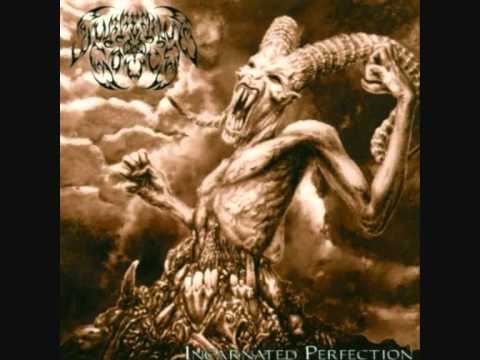 Suffering Souls - Night Of Pure Perfection