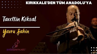 Tacettin Köksal - Yavru Şahin / Kırıkkale'den Tüm Anadolu'ya Resimi