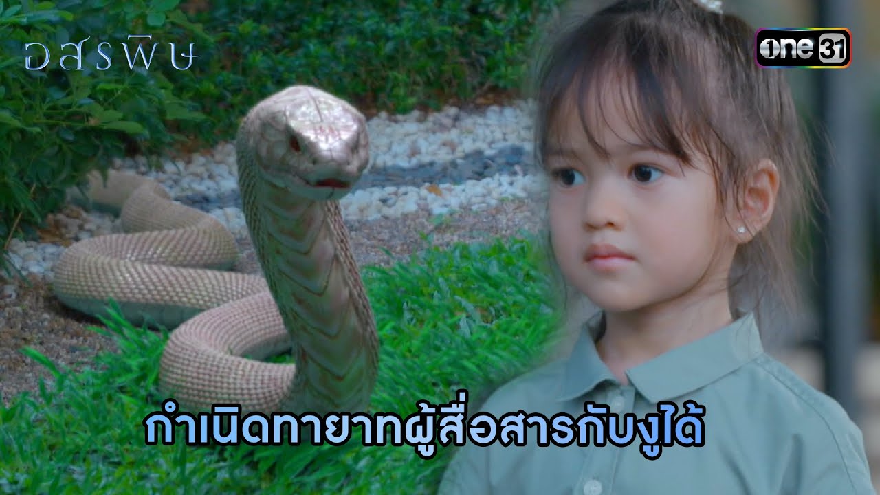 กำเนิดทายาทผู้สื่อสารกับงูได้ | HIGHLIGHT อสรพิษ EP.28 (ตอนจบ) | 23 เม.ย. 67  | one31