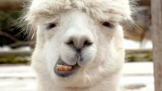 A Day With Dad A New Solmization