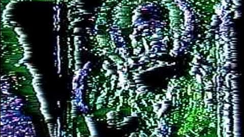 circuit bent videonics ve-1 video equalizer