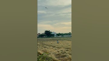 Những cánh diều và những giấc mơ năm ấy… bạn còn nhớ không? #TuổiThơBìnhYên #ThảDiều #KýỨcTuổiThơ