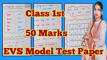 Class 1st /E.V.S. /Sample Paper with solution for exam revision /50Marks/ Pratice Model Test Paper