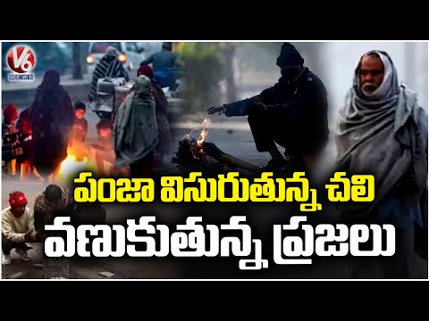Weather Update: Temperatures Decreasing Peoples Struggle With Cold In Adilabad | V6 News - V6NEWSTELUGU