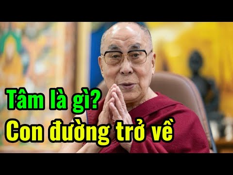 Bài Giảng Thâm Sâu Về Tâm Là Gì? Con Đường Trở Về? - Đức Thánh Đạt Lai Lạt Ma 14. 