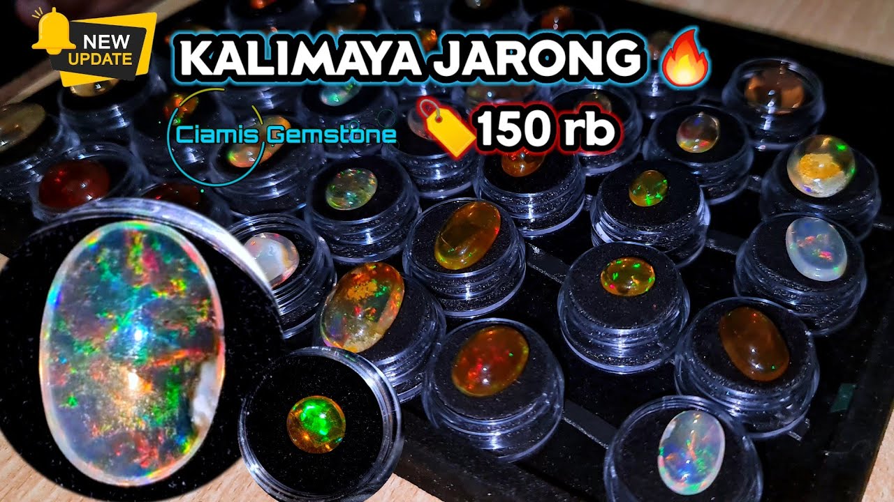 KALIMAYA ✨️ JARONG HC‼️JARONG LASER‼️JARONG API🔥 LENGKAP DI PUSAT BATU KALIMAYA & BLACK OPAL