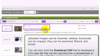 What Is The My Gallery Area - eBid How To Video