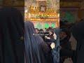 سبع الكنطره المايرد خطاره