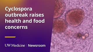 Cyclospora outbreak raises health and food concerns