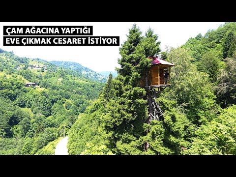 Video: Bir Kötükdən Ev: Bağçada öz əlinizlə Bir çətənə Gnomes üçün Bir Ev Necə Etmək Olar? Ölkədə Köhnə Bir Ağac Kötüyü Düzəltmək