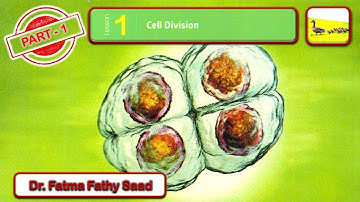 Prep 3-First Term - Unit 4- Lesson 1-Part 1