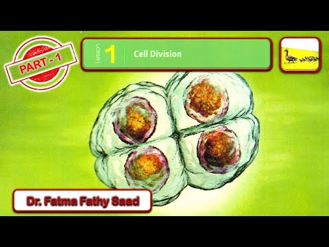 Prep 3 First Term Unit 4 Lesson 1 Part 1