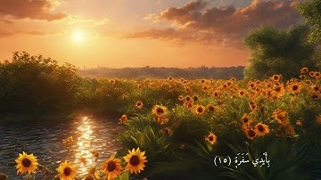 سورة عبس ، علي جابر ..