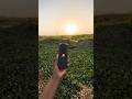 JBL Speaker Ko Pani Ke Plants Par Jump Test