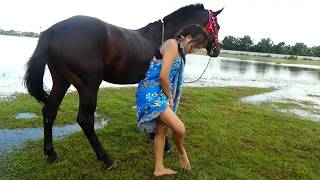 🐎My Girl Village Care Black horse training Basics at the Small Park - How to cleaning cut