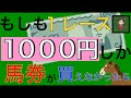 【少額馬券の買い方】１０００円で競馬を１０００倍楽しむ馬券戦略