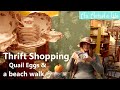 Thrift Shopping Again in New England | An Autumn Beach Walk | Quail's Eggs | Cozy Fall Colour