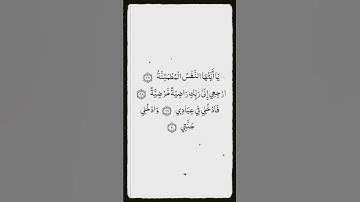 تلاوة في دقيقة | الآيات من  ( ٢٧ ) الى ( ٣٠ ) من سورة الفجر | الشيخ عبدالله خياط