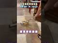 女生崩潰抓捕老鼠 還幫取名萬「安」弟 Andy 網笑翻 #SHORTS