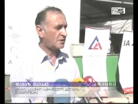 ირანული ხელნაკეთი ნივთების გამოფენა ბათუმში