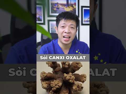 Video: Chỉ 21 loài động vật yêu bạn rất nhiều và không bao giờ muốn bạn rời khỏi