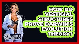 How Do Vestigial Structures Prove Darwin's Evolution Theory? - Science Through Time