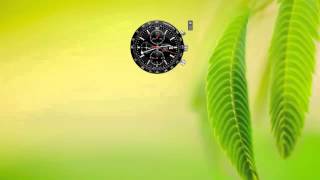 Astonishing Tag Chronograph Windows 7 Desktop Widget screenshot 5