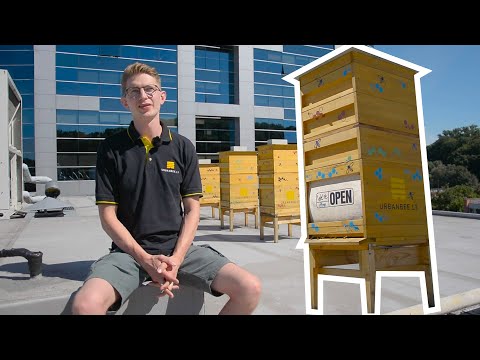 Video: Kaip veikia geografinė bitė?
