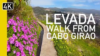 Madeira's Stunning Levada Trail - Cabo Girão To Estreito De Camara De Lobos