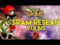 SRAM RESEAU VULBIS