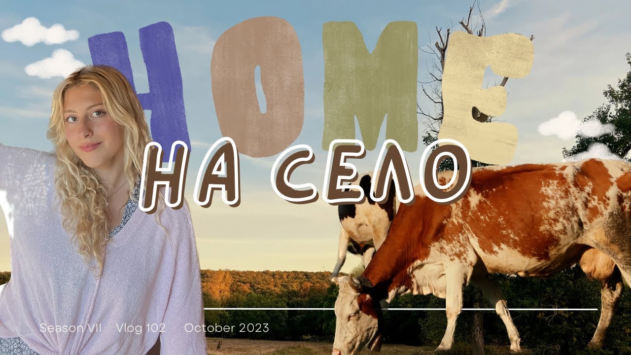 ОТНОВО У ДОМА | Сега накъде?