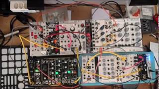 Mutable Instruments Rings / Doepfer A111 / Make Noise 0-Coast - take16