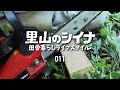 田舎暮らし 011 古民家の掃除 庭木の伐採