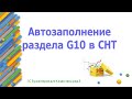 Автозаполнение раздела G10 экспортный контроль в СНТ на импорт или экспорт