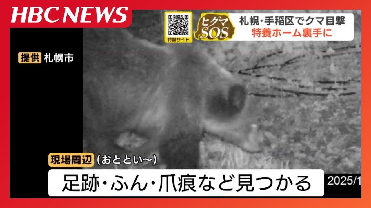 A brown bear stayed there for about three hours. A staff member
