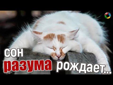 Спящие монстры (смешные)