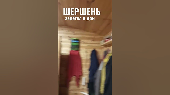 Что делать, если ШЕРШЕНЬ залетел в дом? Обычно он влетает на свет. Выманить  назад с помощью света.