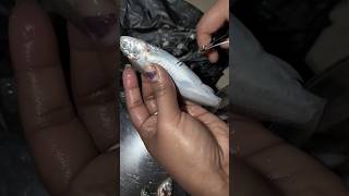 How To Clean Small Fish