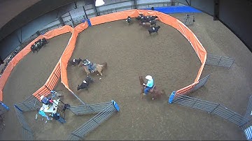 Big Sky Ranch Sorting Saddle Series #3 - #7 Sort - Round #1 - Ride #24